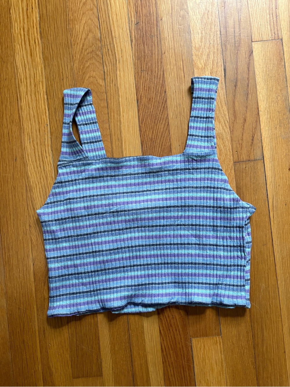 American Eagle Outfitters Lavender and Mint Ribbed Stripe Crop Tank